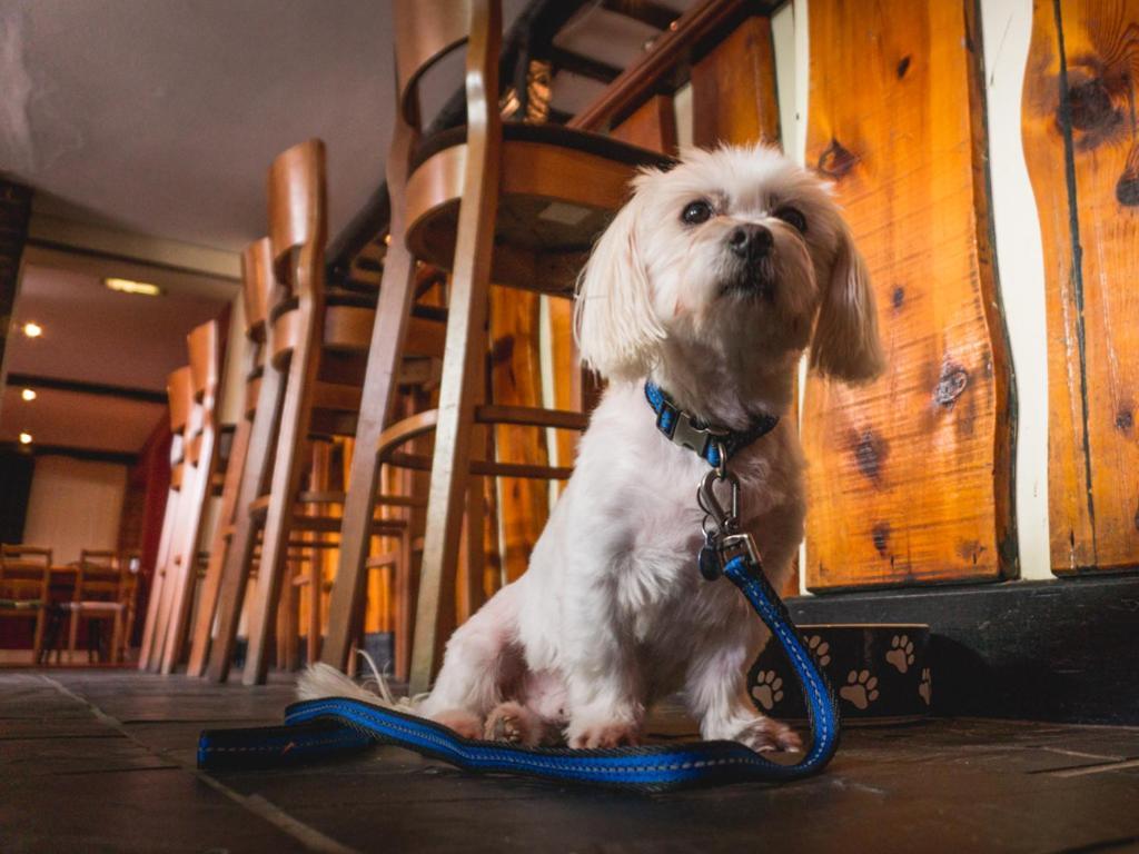 The Shoe Inn Plaitford ภายนอก รูปภาพ